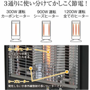 dCXg[u J[{q[^[1ǃV[Yq[^[2 1200W/900W/300W 3iKؑւ [YKT-SCS12E(K)] ubN U ]|ItXCb` ATvCX