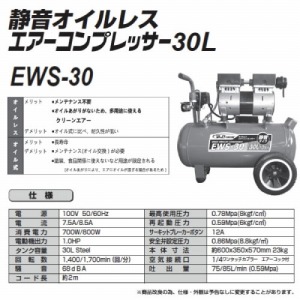 GA[RvbT[ 30L ÉICX [EWS-30] 1.0n É^Cv 600~350~570mm 100V R[h2m VZC [J[